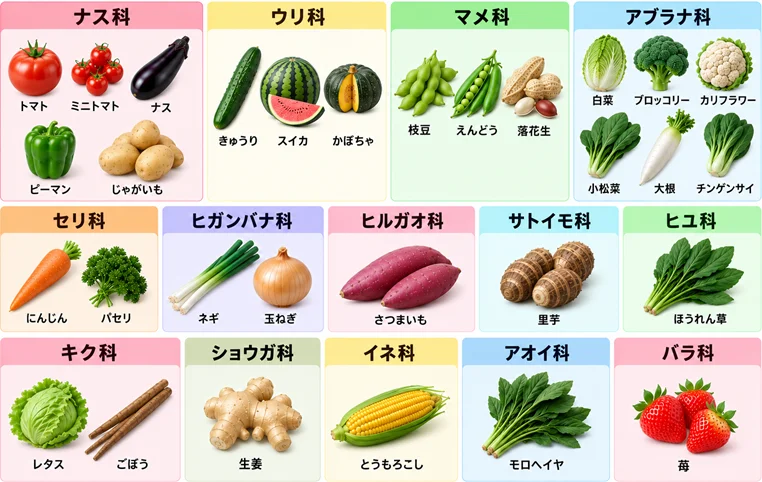 家庭菜園の連作障害を避ける作付けの参考図