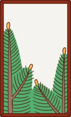 松のカス