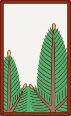 松のカス
